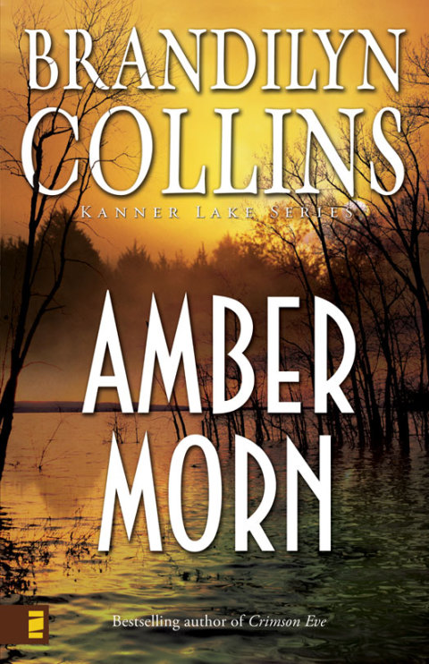 Cover image for book Amber Morn