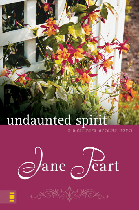Cover image for book Undaunted Spirit