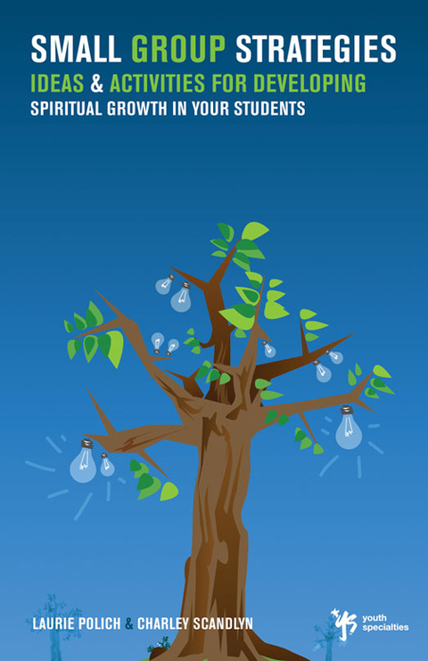 Cover image for book Small Group Strategies
