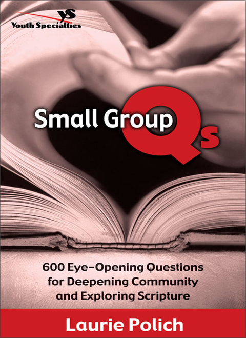 Cover image for book Small Group Qs