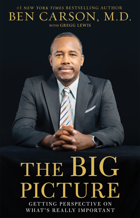 Cover image for book The Big Picture