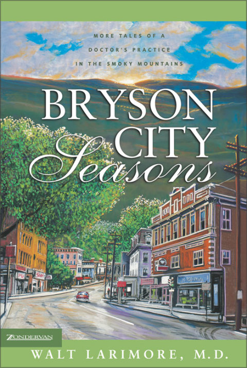 Cover image for book Bryson City Seasons