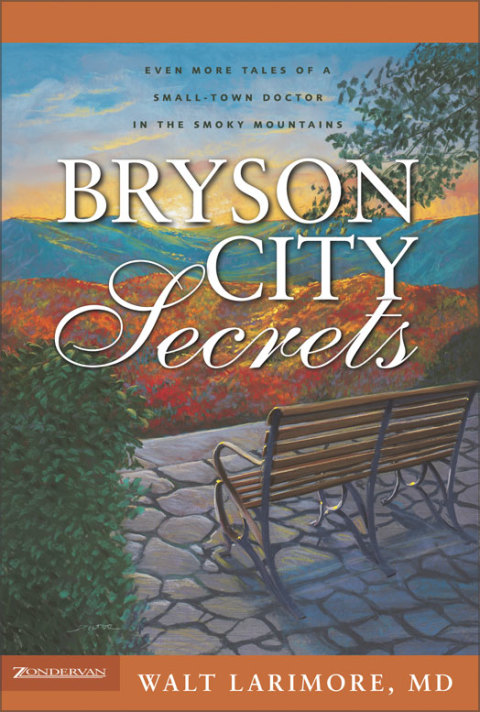 Cover image for book Bryson City Secrets
