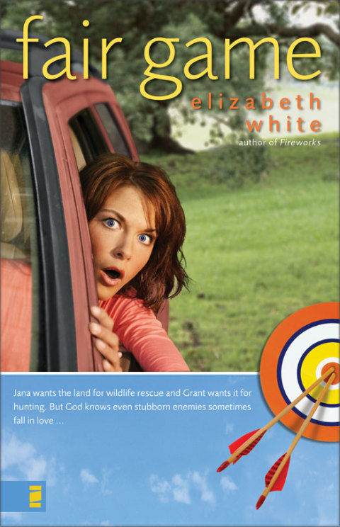 Cover image for book Fair Game