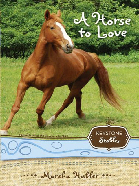 Cover image for book A Horse to Love