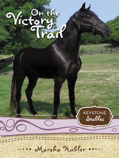 Cover image for book On the Victory Trail