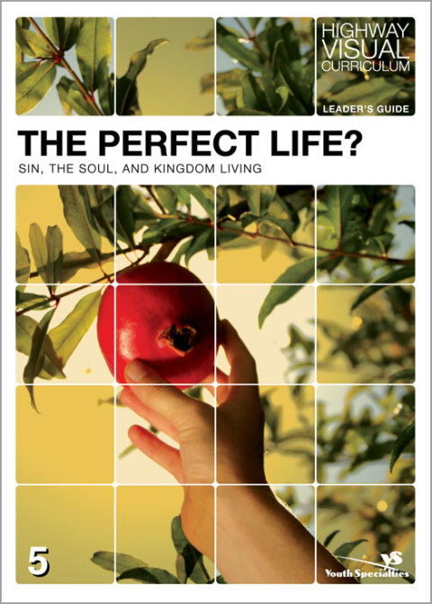Cover image for book The Perfect Life? Leader's Guide
