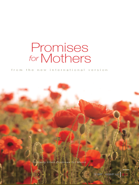 Cover image for book Promises for Mothers