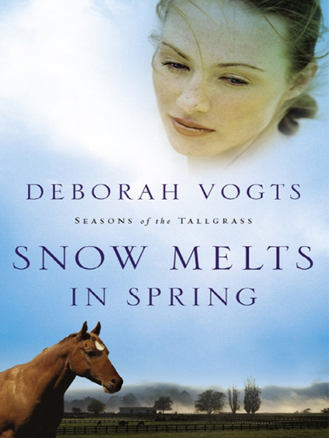 Cover image for book Snow Melts in Spring