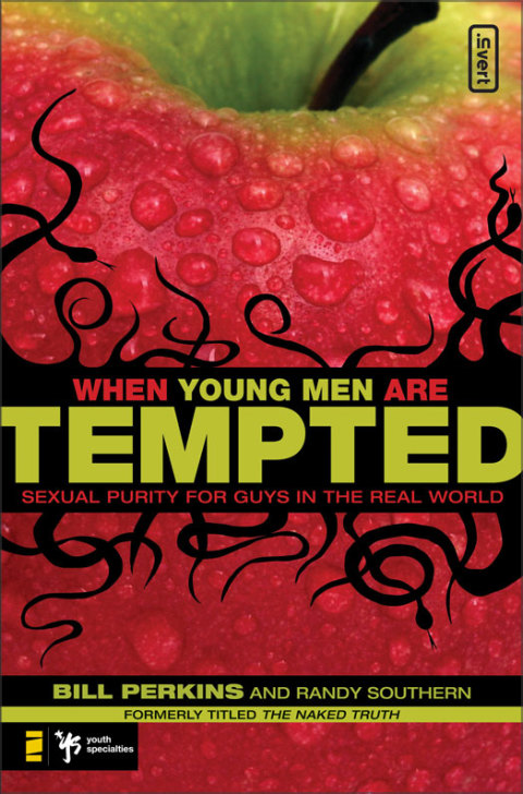 Cover image for book When Young Men Are Tempted