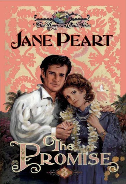 Cover image for book The Promise