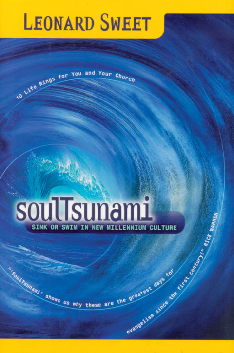 Cover image for book Soultsunami