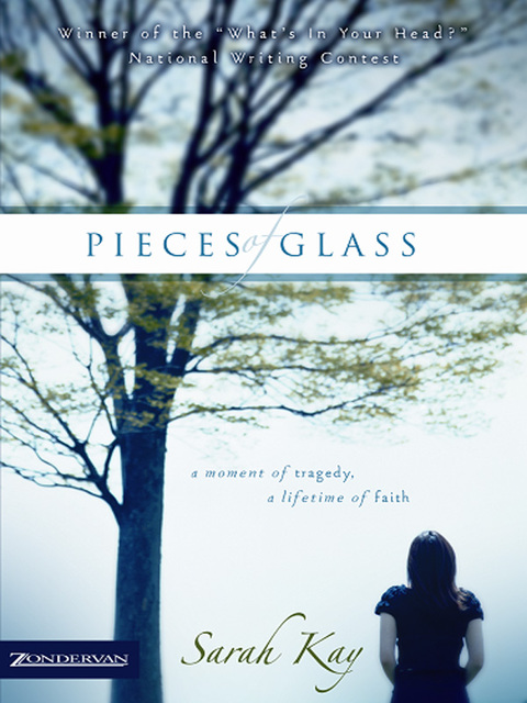 Cover image for book Pieces of Glass