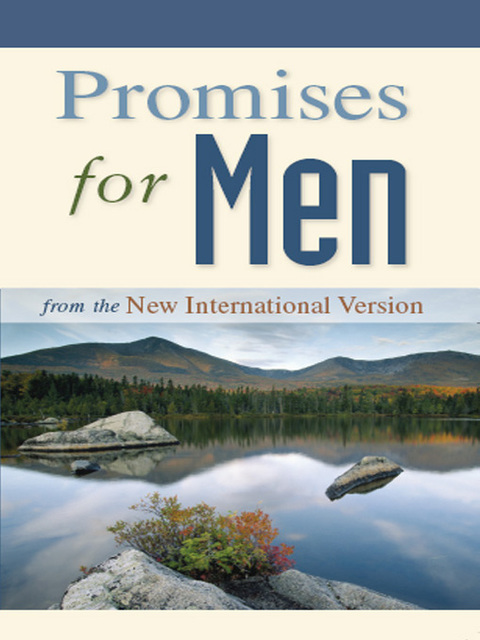 Cover image for book Promises for Men