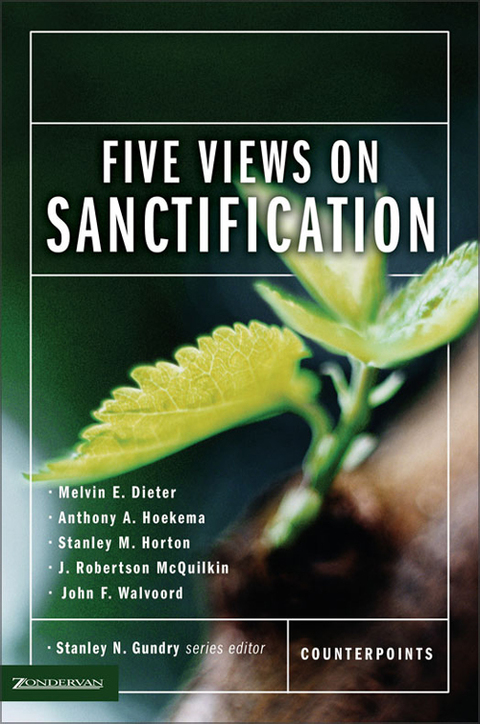 Cover image for book Five Views on Sanctification