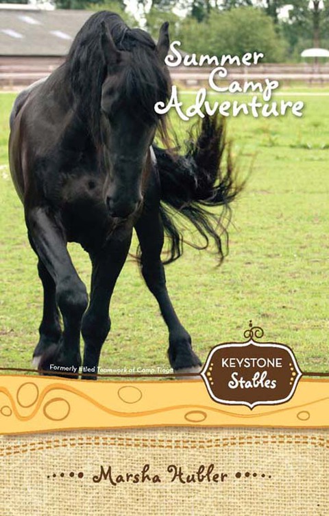 Cover image for book Summer Camp Adventure