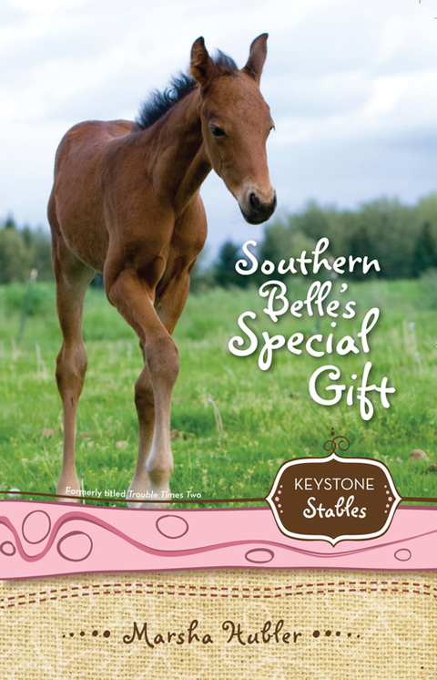 Cover image for book Southern Belle's Special Gift