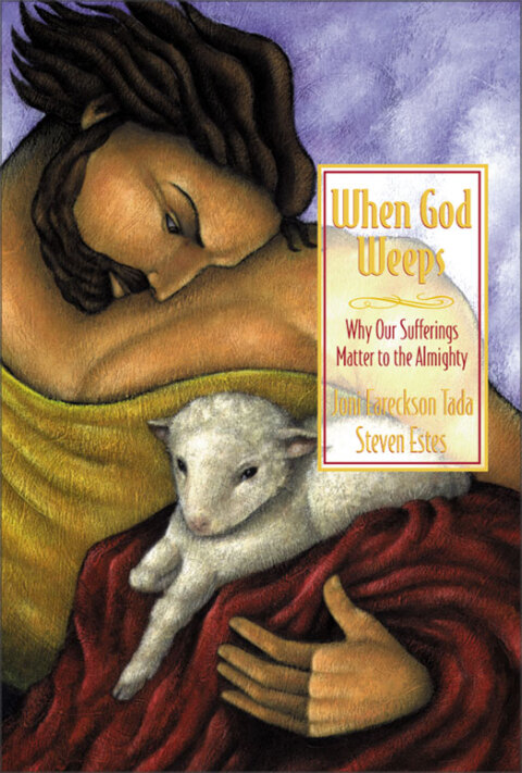 Cover image for book When God Weeps