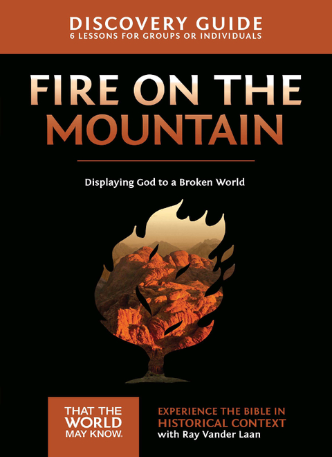 Cover image for book Fire on the Mountain Discovery Guide