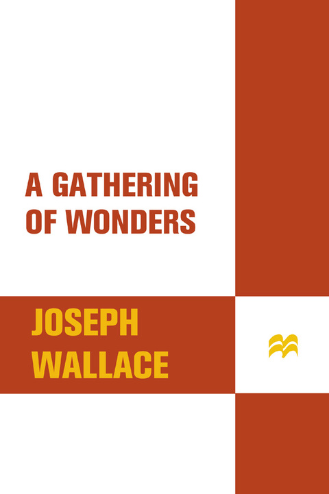 Cover image for book A Gathering of Wonders