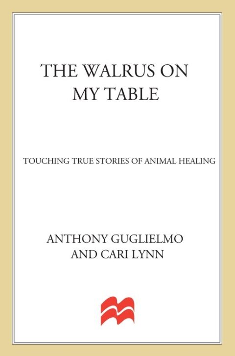 Cover image for book The Walrus on My Table
