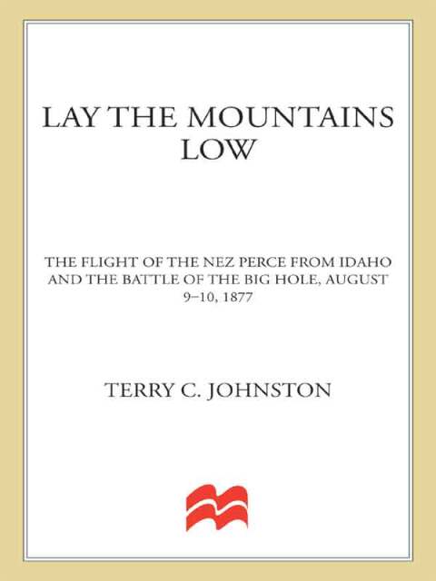 Cover image for book Lay the Mountains Low