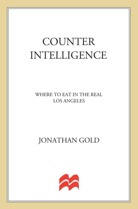 Cover image for book Counter Intelligence