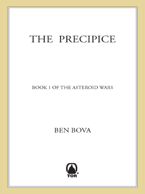 Cover image for book The Precipice
