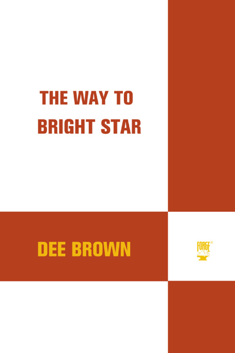 Cover image for book The Way To Bright Star