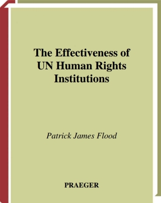 The Effectiveness of UN Human Rights Institutions