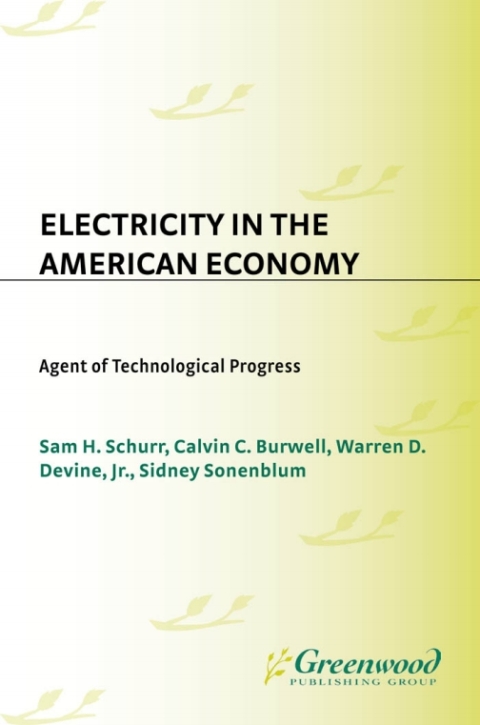 Electricity in the American Economy 