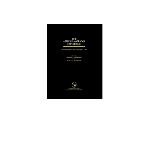 Cover image for book The African American Experience