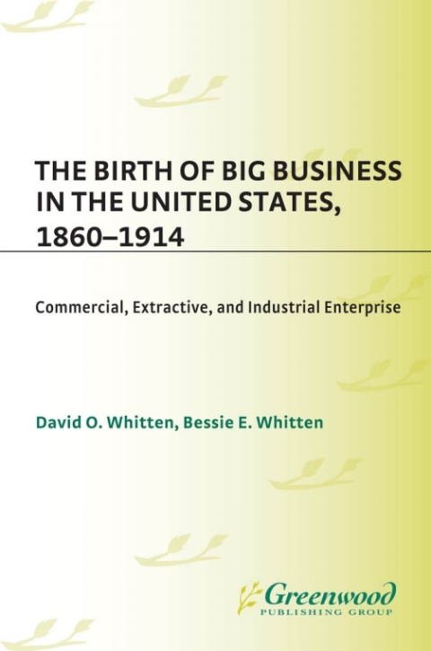Cover image for book The Birth of Big Business in the United States, 1860-1914