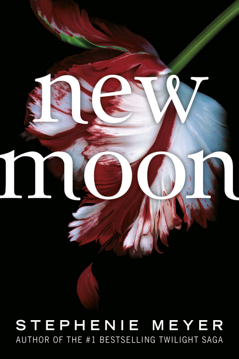 Cover image for book New Moon