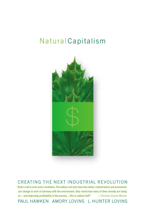 Cover image for book Natural Capitalism