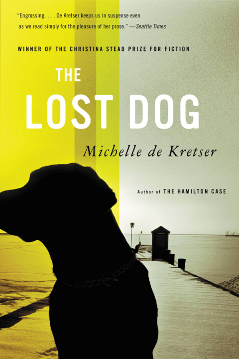 Cover image for book The Lost Dog
