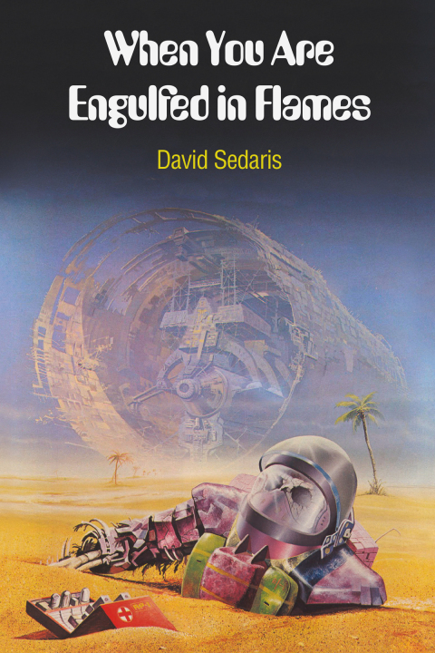 Cover image for book When You Are Engulfed in Flames