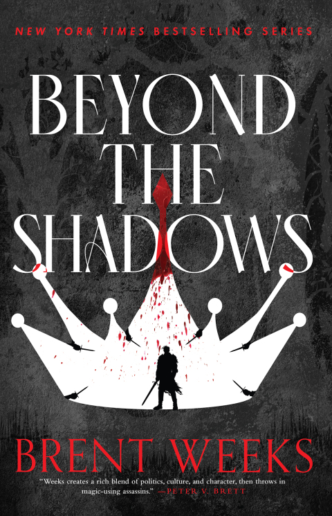 Cover image for book Beyond the Shadows