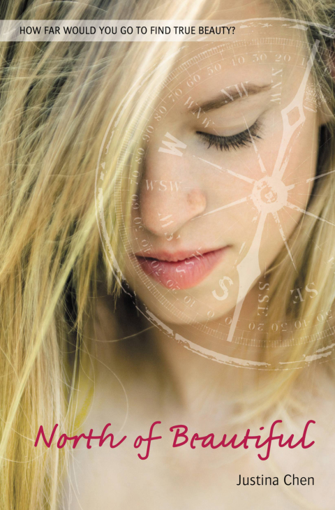 Cover image for book North of Beautiful