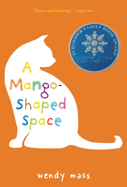 Cover image for book A Mango-Shaped Space