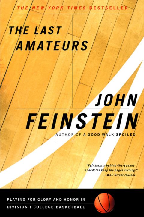 Cover image for book The Last Amateurs
