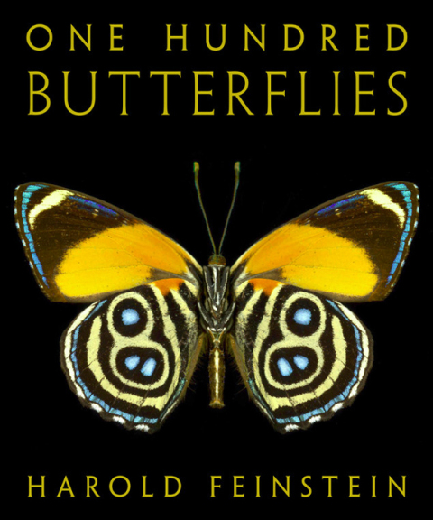Cover image for book One Hundred Butterflies