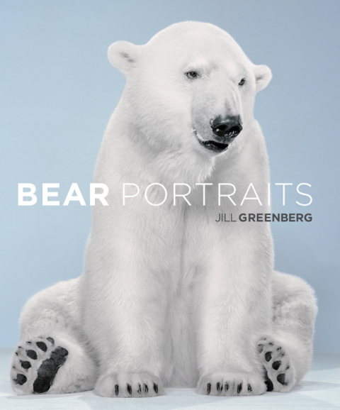 Cover image for book Bear Portraits