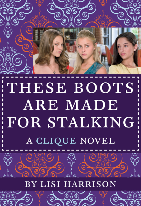 Cover image for book These Boots Are Made for Stalking
