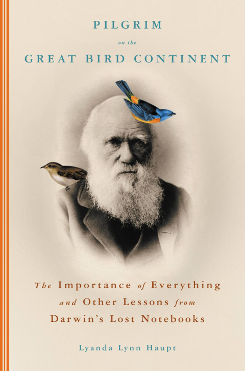 Cover image for book Pilgrim on the Great Bird Continent