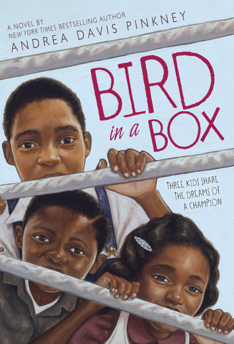 Cover image for book Bird in a Box