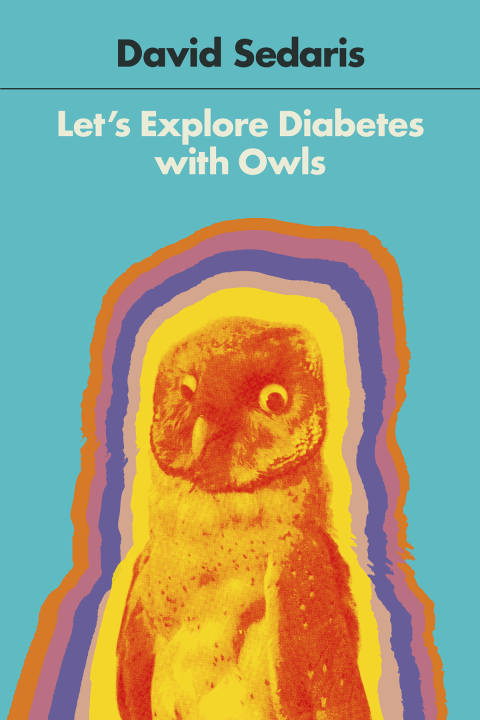 Cover image for book Let's Explore Diabetes with Owls
