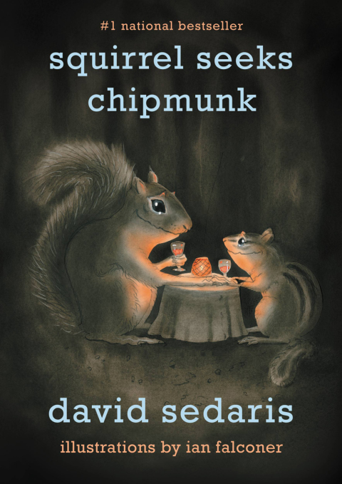 Cover image for book Squirrel Seeks Chipmunk