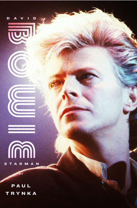 Cover image for book David Bowie