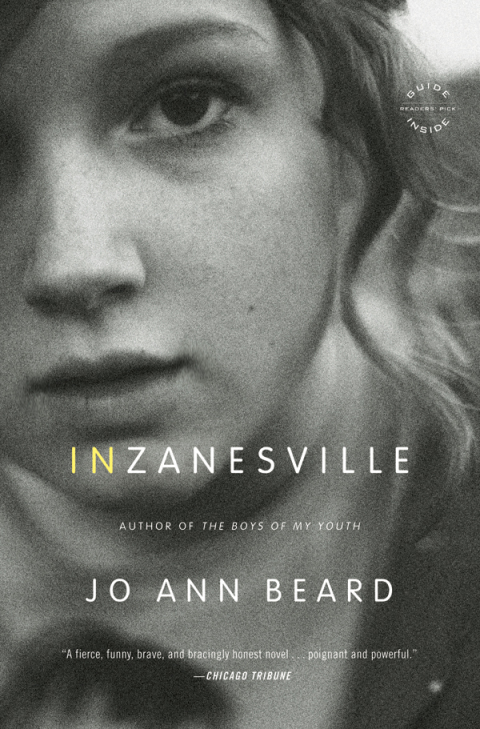 Cover image for book In Zanesville